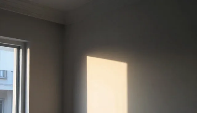 名录业务在企业展示中的发展新趋势